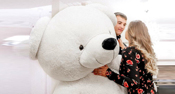 BigTed Teddies Featured Image