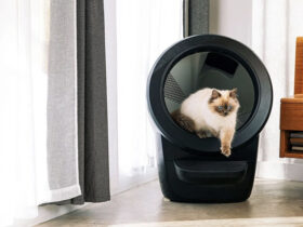 Litter Robot Featured Image