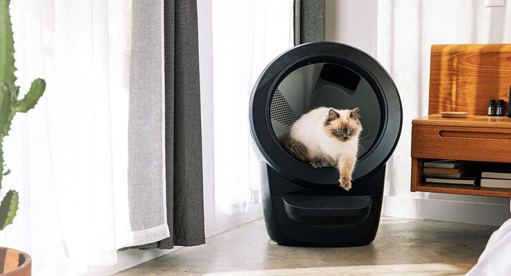 Litter Robot Featured Image